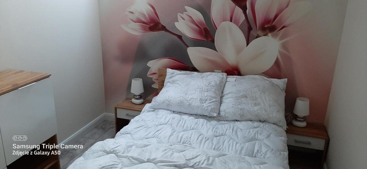 Apartamenty U Iwony Centrum Miasta Blisko Parku Zdrojowego Kudowa-Zdrój Esterno foto