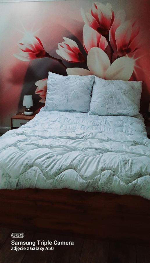 Apartamenty U Iwony Centrum Miasta Blisko Parku Zdrojowego Kudowa-Zdrój Esterno foto