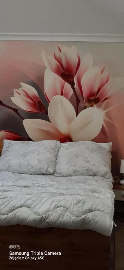 Apartamenty U Iwony Centrum Miasta Blisko Parku Zdrojowego Kudowa-Zdrój Esterno foto